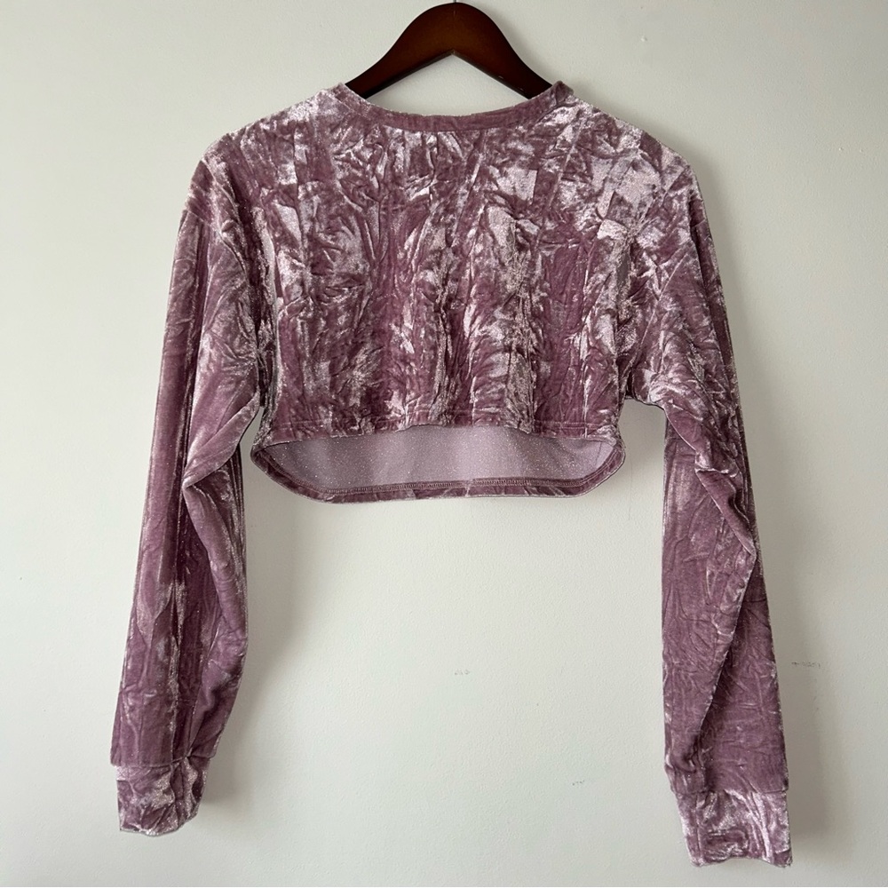Velvet Long Sleeve Crop‎ Top - Mauve
